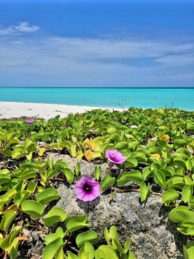Ocean Breeze Maldives Hotel Thulusdhoo Exterior photo